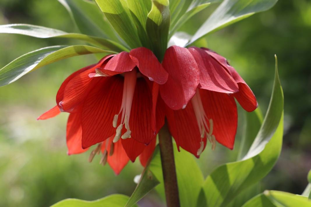 Bu insanlar neye bakıyor? Gece-gündüz nöbet tutuyorlar, ilk kez görenler şaştı kaldı! 5